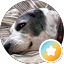 Paulette Driver Avatar